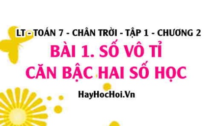 Căn bậc hai số học là gì, Khái niệm Số vô tỉ, Cách tính căn bậc hai bằng máy tính? Toán 7 chân trời Tập 1 chương 2 Bài 1